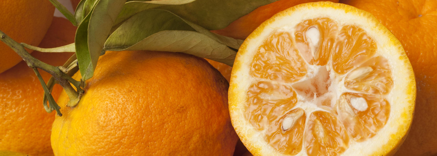 Bitter orange Foods and Wines from Spain